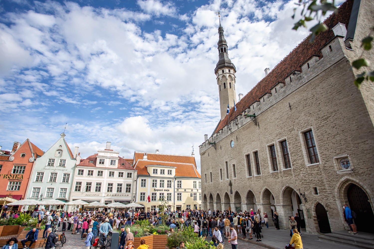 Street performance at townhall Tallinn Fringe Festival Photo Anton Serdjukov